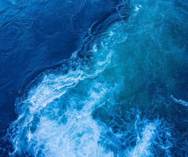 Le plasma marin, à quoi ça sert ?